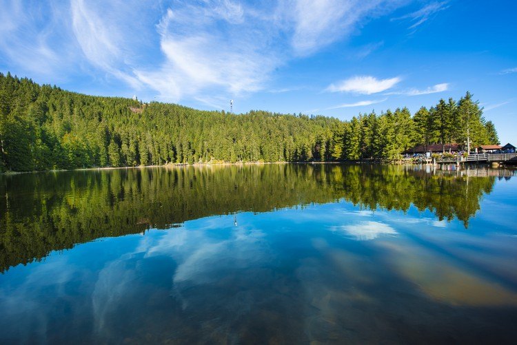 die schönsten Seen in Deutschland Ulraub im Schwarzwald Tipps