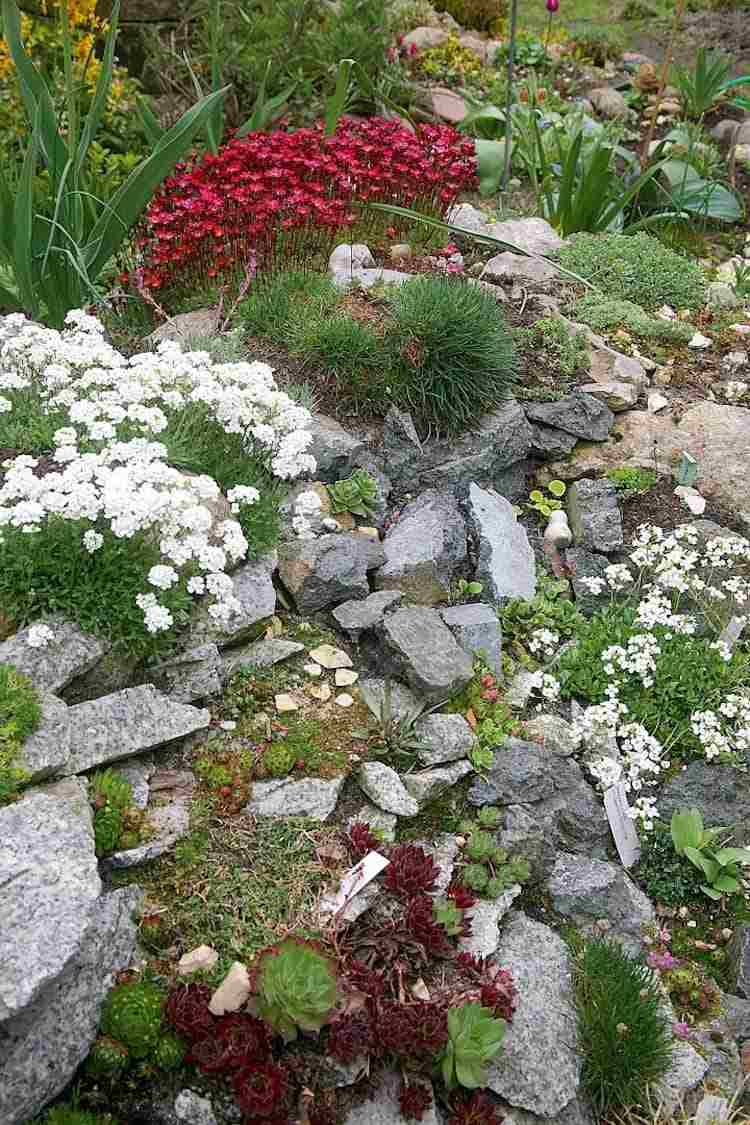 Hangbefestigung mit Steinen und Pflanzen