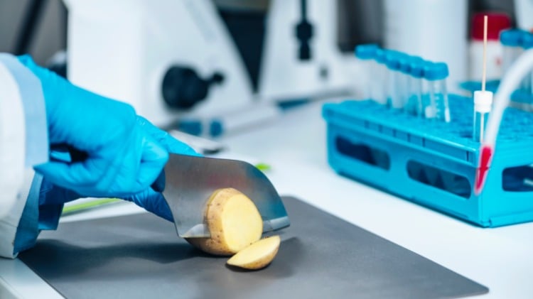 lebensmittelsicherheit vom gemüse wie kartoffel im labor nachprüfen