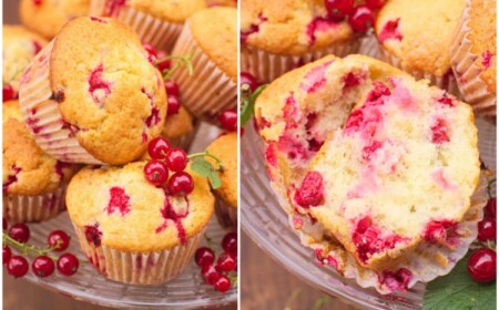 rezept für joghurt muffins mit roten johannisbeeren