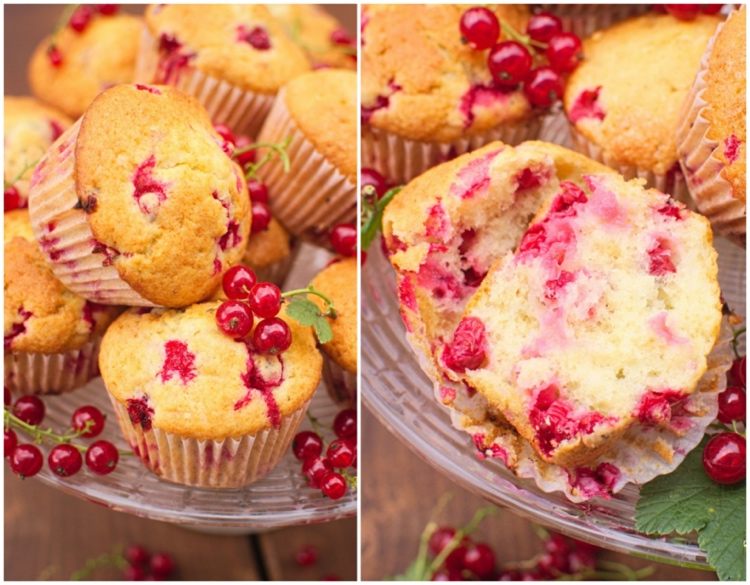 rezept für joghurt muffins mit roten johannisbeeren