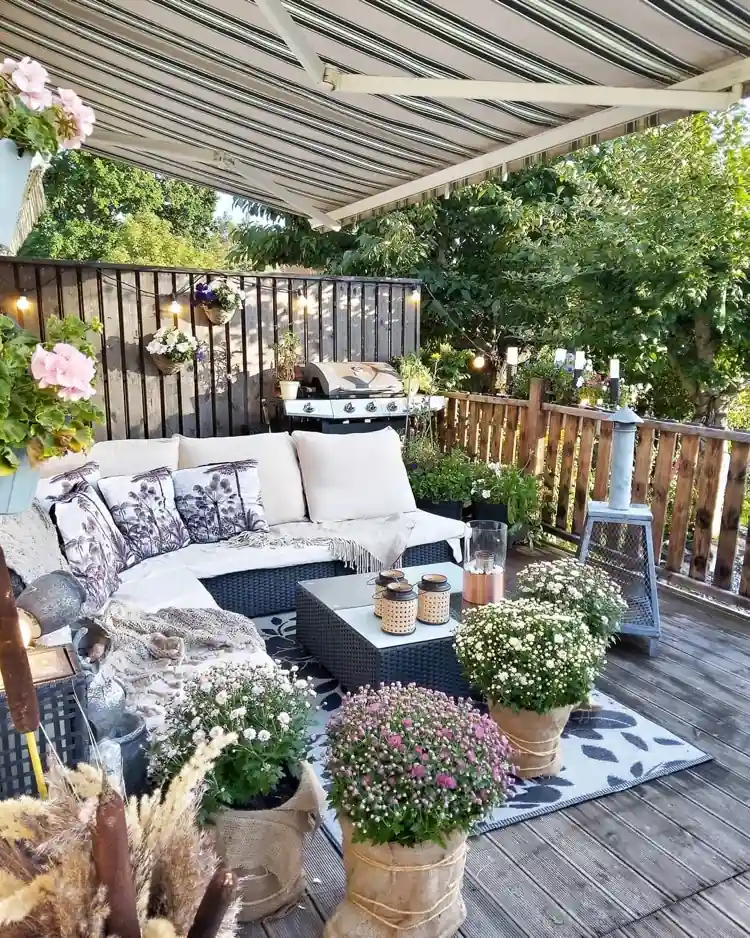 Chrysanthemen auf Terrasse mit Sackleinen umwickeln für einen rustikalen Look
