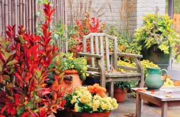 Herbstbepflanzung für Kübel Tipps für Anfänger