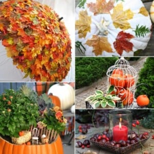 Herbstdeko für den Garten selber machen - Coole Ideen, die schnell gebastelt werden