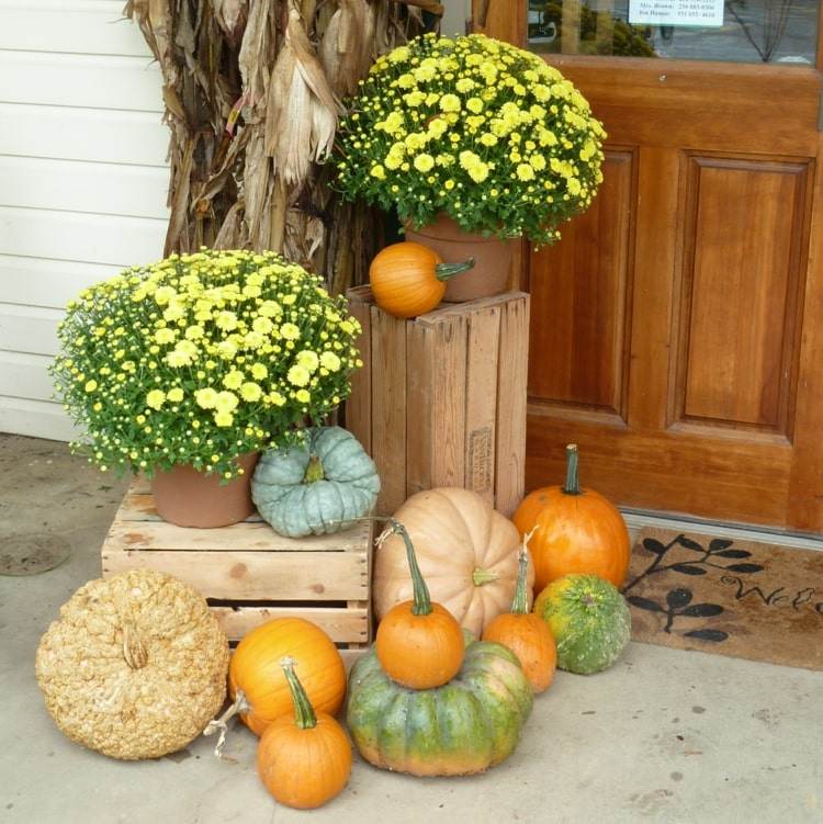 Hübsche Holzkisten Deko für den Herbst in warmen Farben - Kürbisse und gelbe Herbstblumen