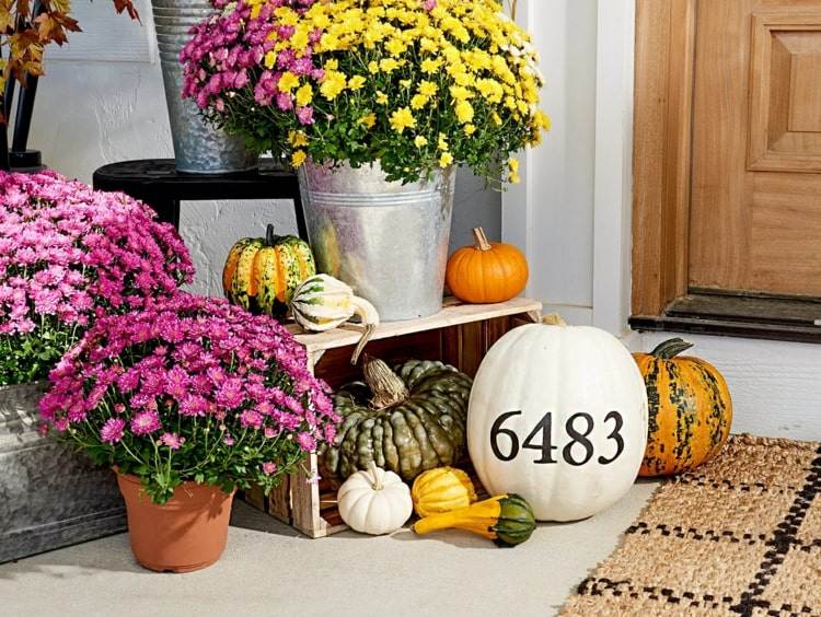 Idee für den Bereich vor der Haustür - Hausnummer auf einem weißen Kürbis und bunte Blumen