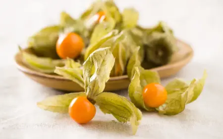 Physalis Rezepte Salat kalorienarmes Abendessen