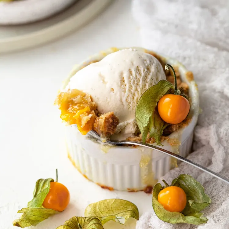 Physalis Rezepte einfach Eiscreme selber machen ohne Eismaschine