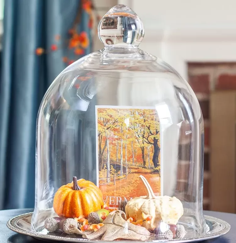 Tischdeko für Herbst einfach selber machen unter Glashaube