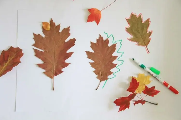 Umrisse von Herbstblättern nachzeichnen und schöne Herbstbilder kreieren