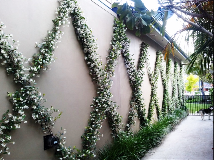 garagenwand des nachbarns verschönern im garten