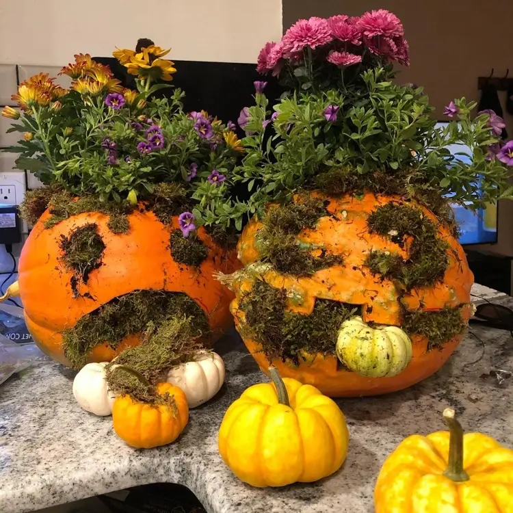 halloween kürbis deko mit moos und pflanzen