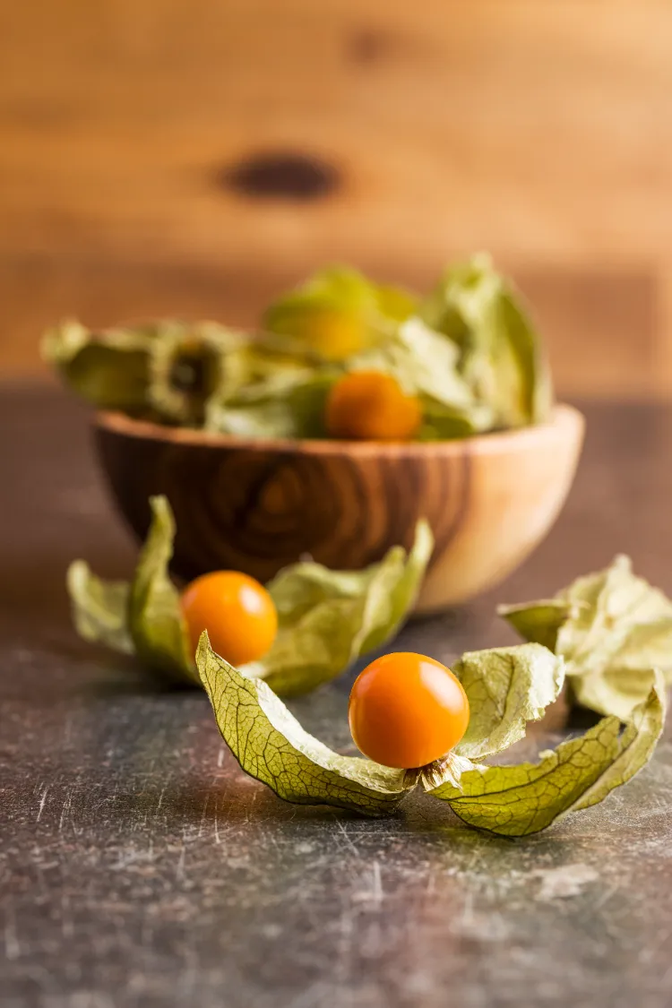 ist Physalis gesund kalorienarme Gerichte zum Abendessen