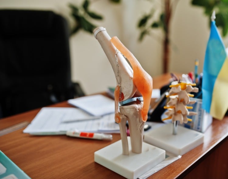 künstliches modell von kniegelenk zu medizinischen zwecken in der orthopedie