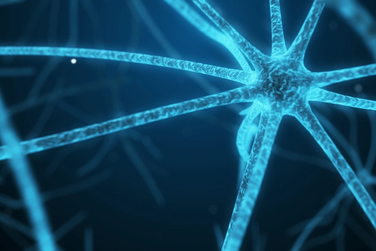 leuchtende neuronale verbindung im gehirn stellt gesunde kognitive funktion dar