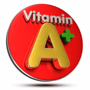 wirkung von vitamin im darmmikrobiom für eine verbesserte adaptive immunität