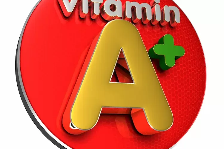 wirkung von vitamin im darmmikrobiom für eine verbesserte adaptive immunität