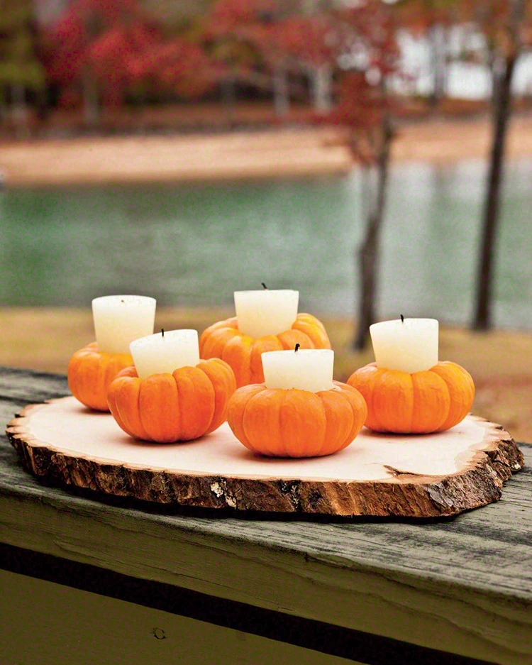 Zierkürbisse aushöhlen, Kerzen hineinstellen und auf Baumscheibe stellen