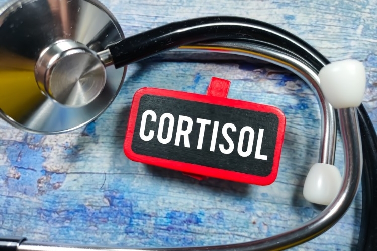 zusammenhang zwischen cortisol und bluthochdruck in bezug auf herzerkrankungen