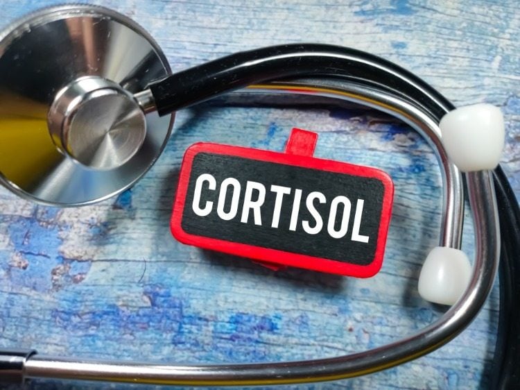 zusammenhang zwischen cortisol und bluthochdruck in bezug auf herzerkrankungen