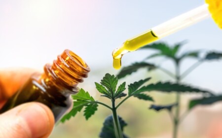 Bio-Qualität CBD Öl kaufen nützliche Tipps