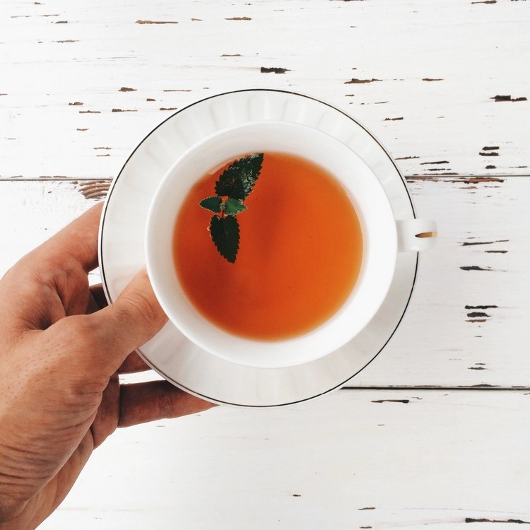 Eine Tasse Sidertis Tee pro Tag für das Immunsystem