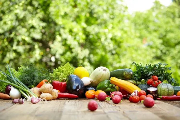 Frisches Gemüse zum Kochen verwenden im Herbst und Oktober