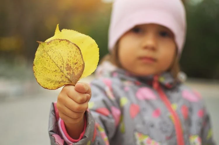 Kind sammelt Laub im Herbst