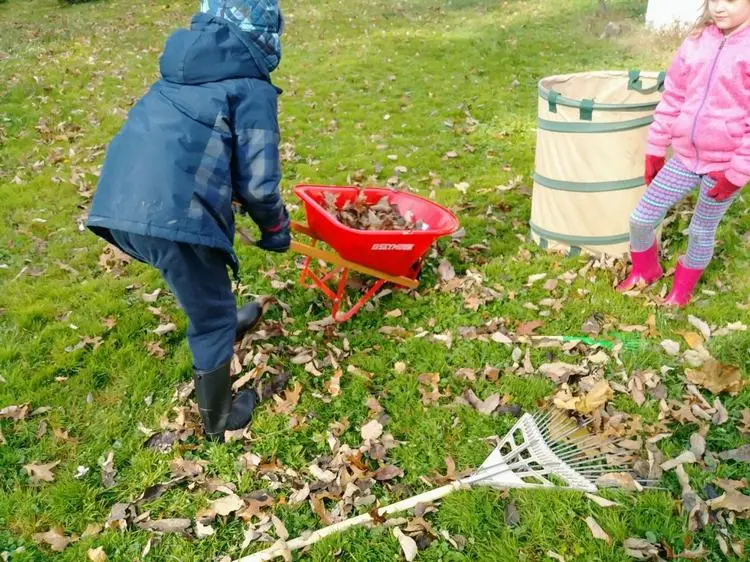 Laub harken mit Kindern passendes Gartenwerkzeug bereitstellen