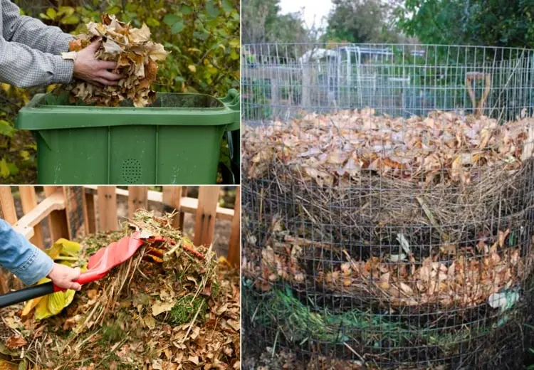 Laub kompostieren in Schichten mit anderen Materialien wie Küchenabfall und Rasen