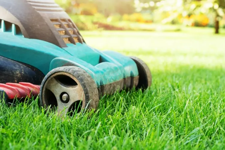 Rasenpflege im Herbst - Was ist die richtige Länge für das Gras