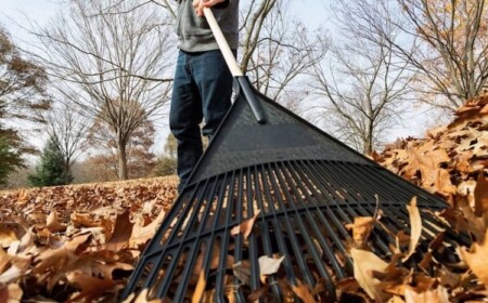 Tipps rund um Laub richtig harken
