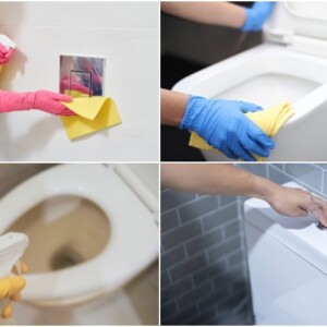 WC reinigen mit Hausmitteln Tipps für WC-Becken und Spülkasten und WC-Brille (1)