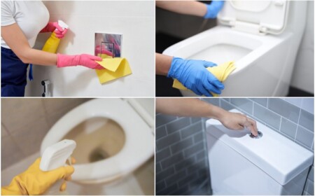 WC reinigen mit Hausmitteln Tipps für WC-Becken und Spülkasten und WC-Brille (1)