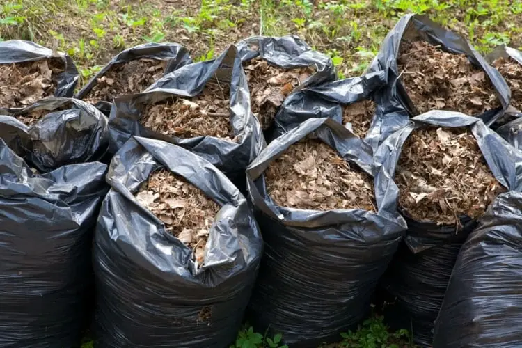 Wie kann man Laub in Säcken kompostieren - Einfache Anleitung