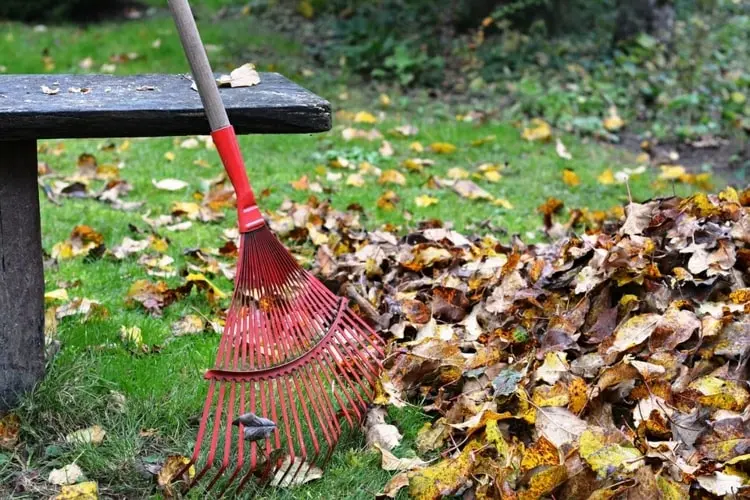 Wie kann man Laubkompost selber machen - Gartenarbeit im Herbst