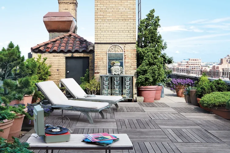 Zwergkiefer bietet Sichtschutz auf Dachterrasse