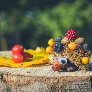 Basteln mit Kastanien für Kleinkinder - Beeren auf die Kastanienschale stecken für einen Igel