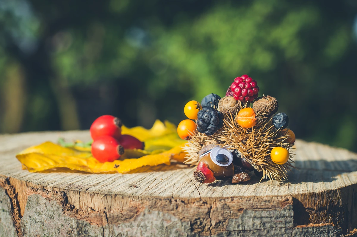 Basteln mit Kastanien für Kleinkinder - Beeren auf die Kastanienschale stecken für einen Igel
