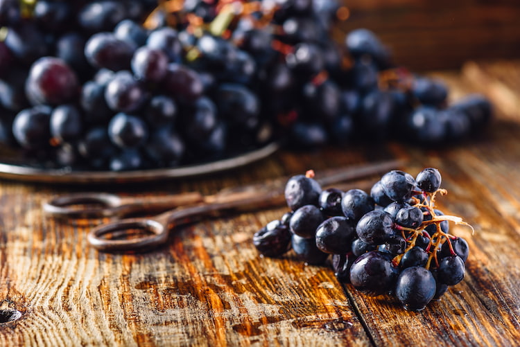 gereifte rote trauben vor der weinproduktion