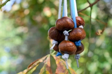 Kastanienschlacht als witziges Spiel für draußen