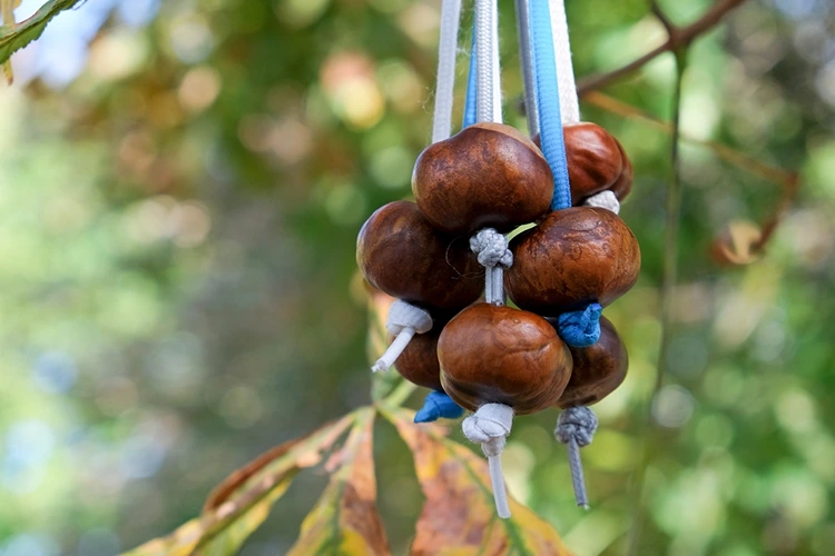 Kastanienschlacht als witziges Spiel für draußen