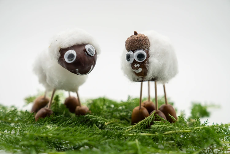 Lustige Idee mit Baumwolle für Schafe - Die Wolle um den Kastanienkörper kleben