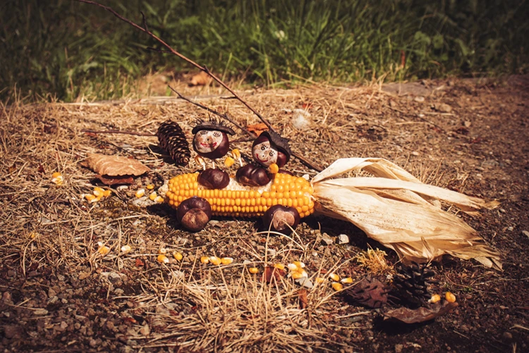 Lustige Kastanienfiguren in einem getrockneten Maiskolben als Auto