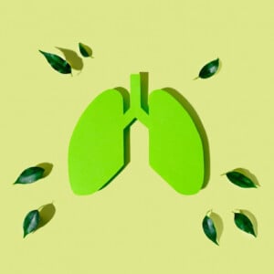 natürliche mittel zur behandlung von asthma bronchiale gegen allergische atemwegserkrankungen