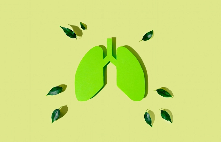 natürliche mittel zur behandlung von asthma bronchiale gegen allergische atemwegserkrankungen