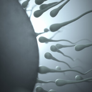 neue methoden gegen männliche unfruchtbarkeit durch stammzellen entwickeln