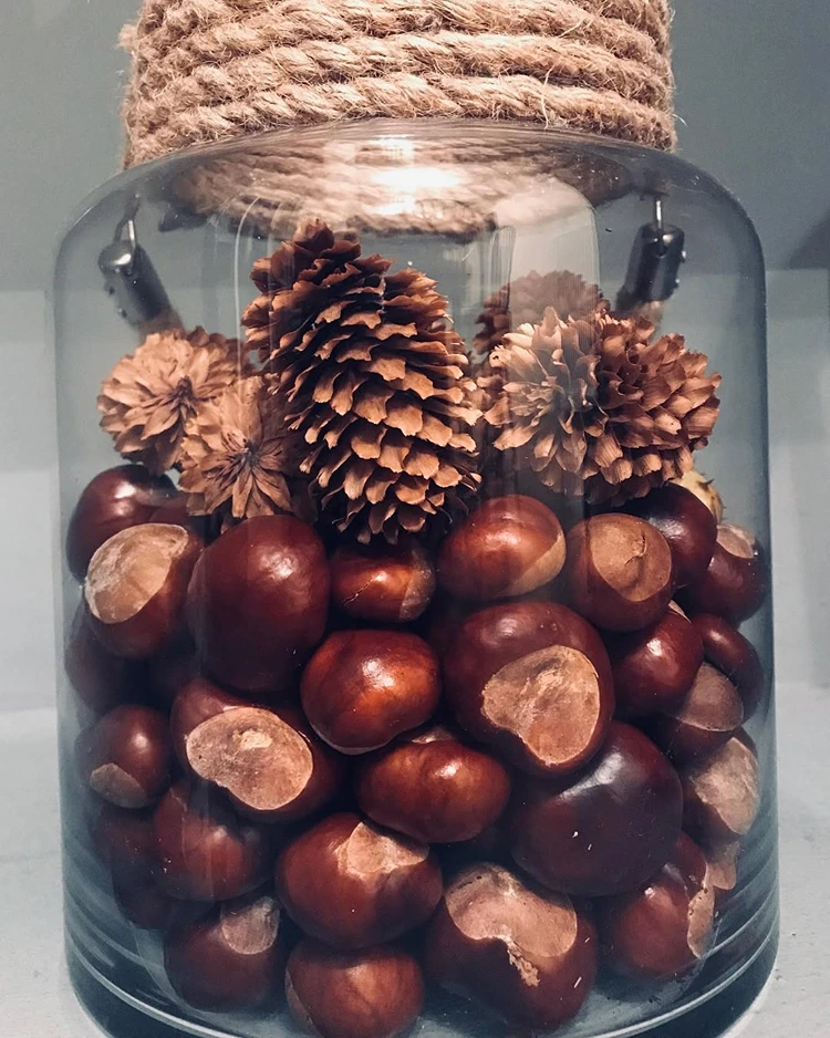 Rustikales, großes Glas mit Seil, gefüllt mit Kastanien und Tannenzapfen