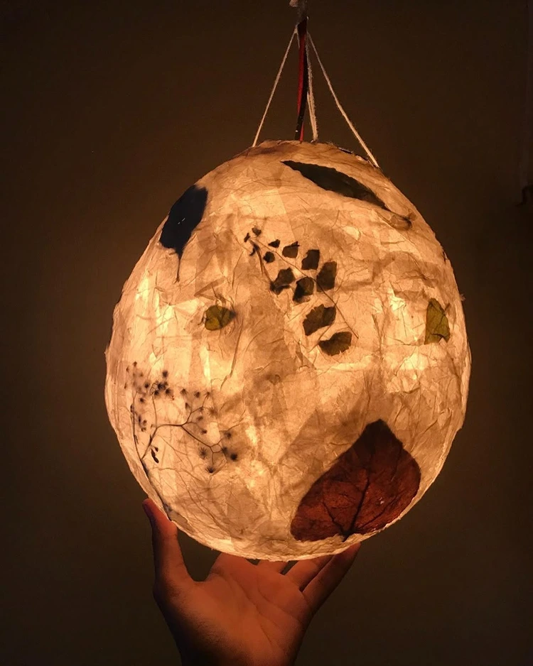 Trockenblumen und Blätter zum Gestalten einer Martinslaterne