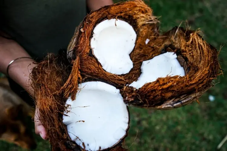 Coole Hacks für den Alltag - Exotische Kokosnüsse einfach aufknacken